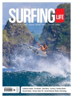 cover image of Surfing Life